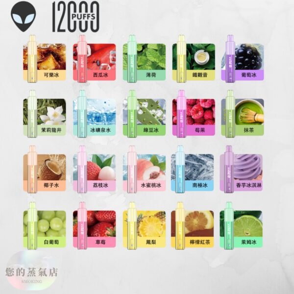 外星人一次性 12000口 十送一 (1) 外星人一次性 12000口 | 十送一 【一次性|拋棄式小煙】小野vvild 外星人12000口超多口味任選 一次性主機 鴨嘴獸一次性 鴨嘴獸拋棄式 OBI一次性 T1一次性